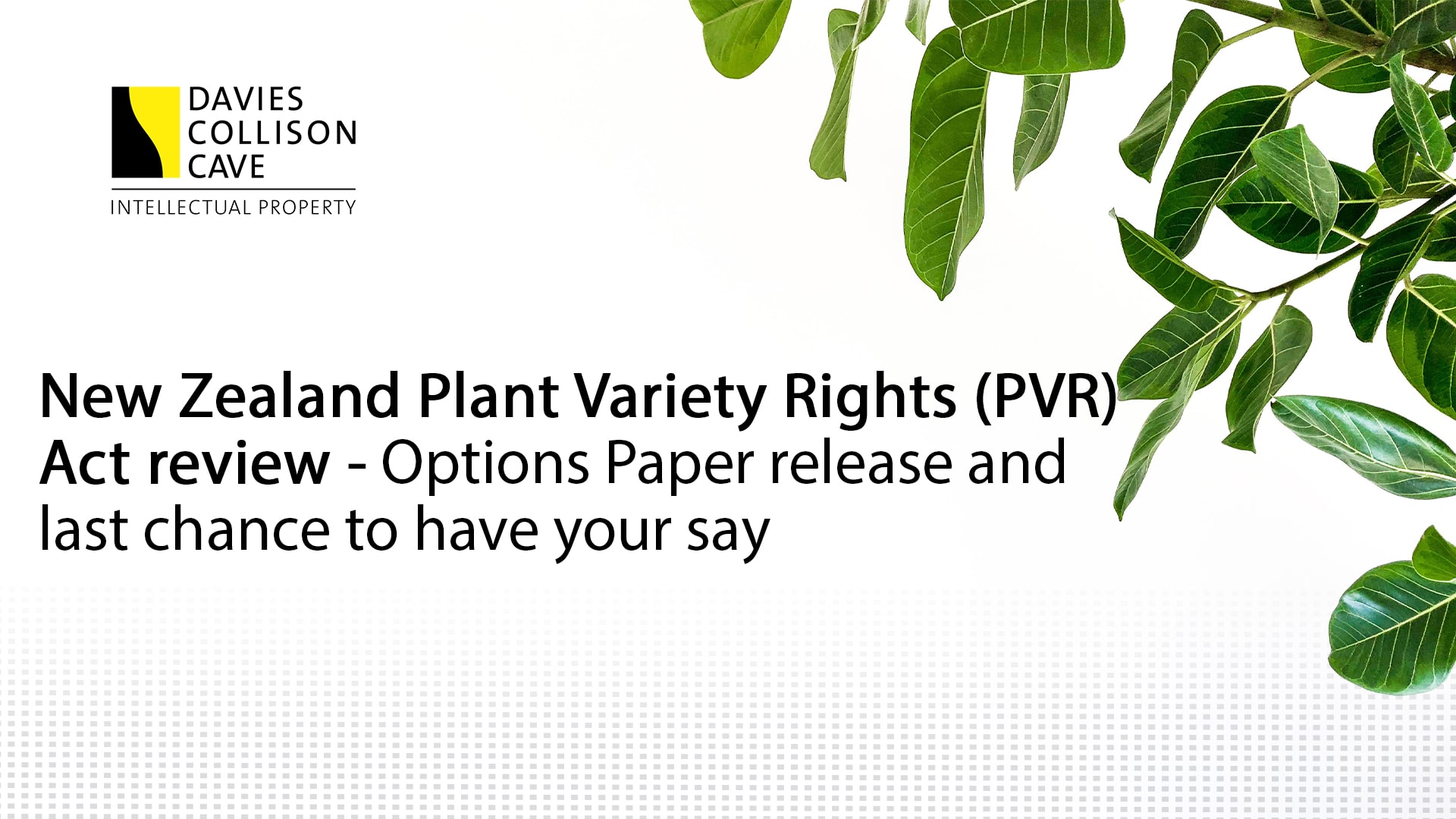 new-zealand-plant-variety-rights-pvr-act-review-options-paper